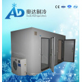 Storage Room/Modular Cold Storage Room/Fruit Freezer Storage Room